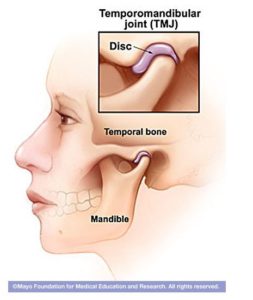 Anatomy of TMJ and Jaw Pain